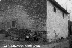 Via-Monterosso-stalla-Dani